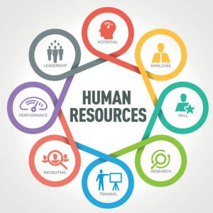 Human Resources icon picture